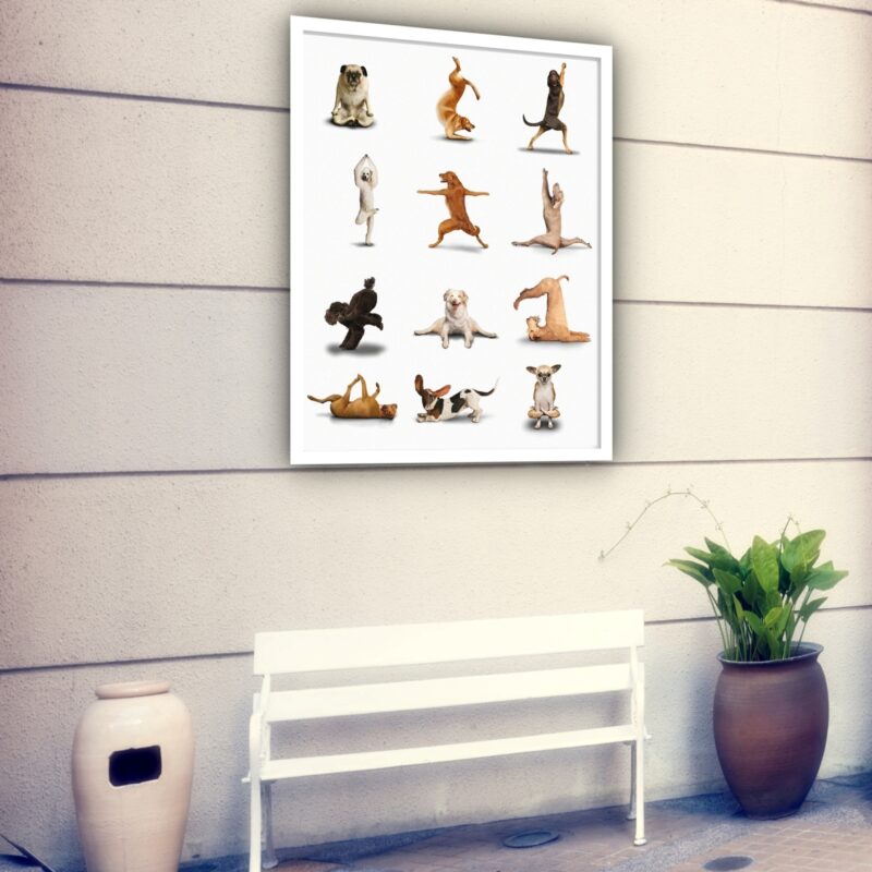 Quadro Decorativo Cães Yoga - 70x50 cm