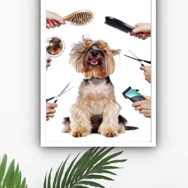 Quadro Decorativo Cão Pet Shop - 70x50 cm