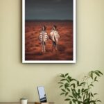 Quadro Decorativo Casal de Zebras Caminhando - 70x50 cm