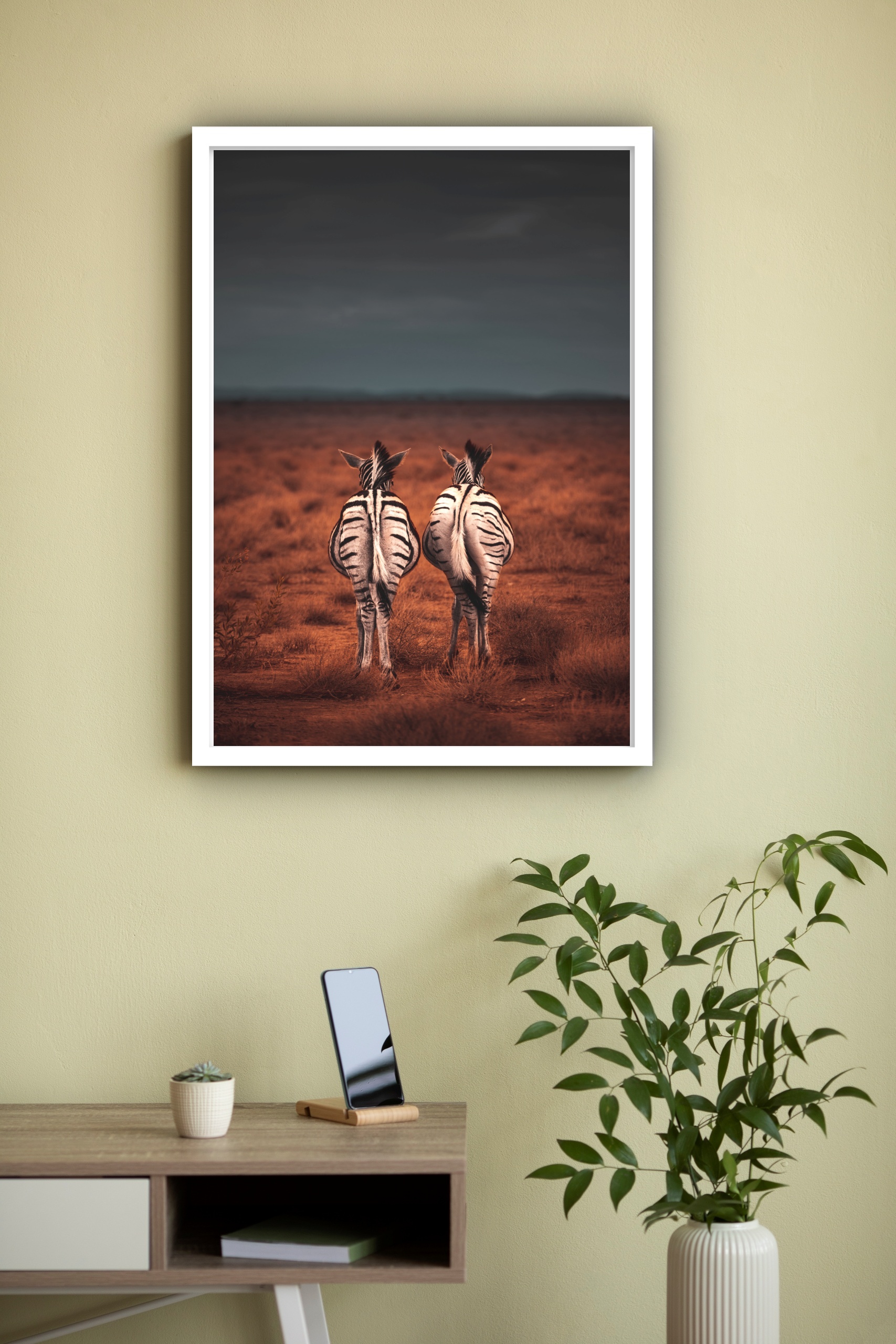 Quadro Decorativo Casal de Zebras Caminhando - 70x50 cm