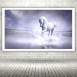Quadro Decorativo Cavalo Branco Lago - 50x70 cm
