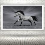 Quadro Decorativo Cavalo Luz Preto e Branco - 50x70 cm