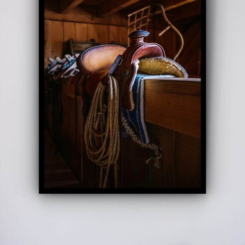 Quadro Decorativo Cela Cavalo - 70x50 cm
