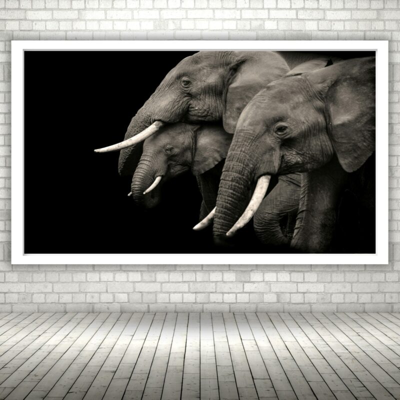 Quadro Decorativo Família Elefantes - 50x70 cm