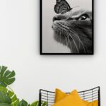 Quadro Decorativo Foto Borboleta Nariz Gato - 70x50 cm
