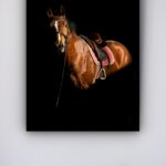 Quadro Decorativo Foto Cavalo Fundo Preto - 70x50 cm