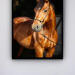 Quadro Decorativo Foto Cavalo Marrom Sol - 70x50 cm