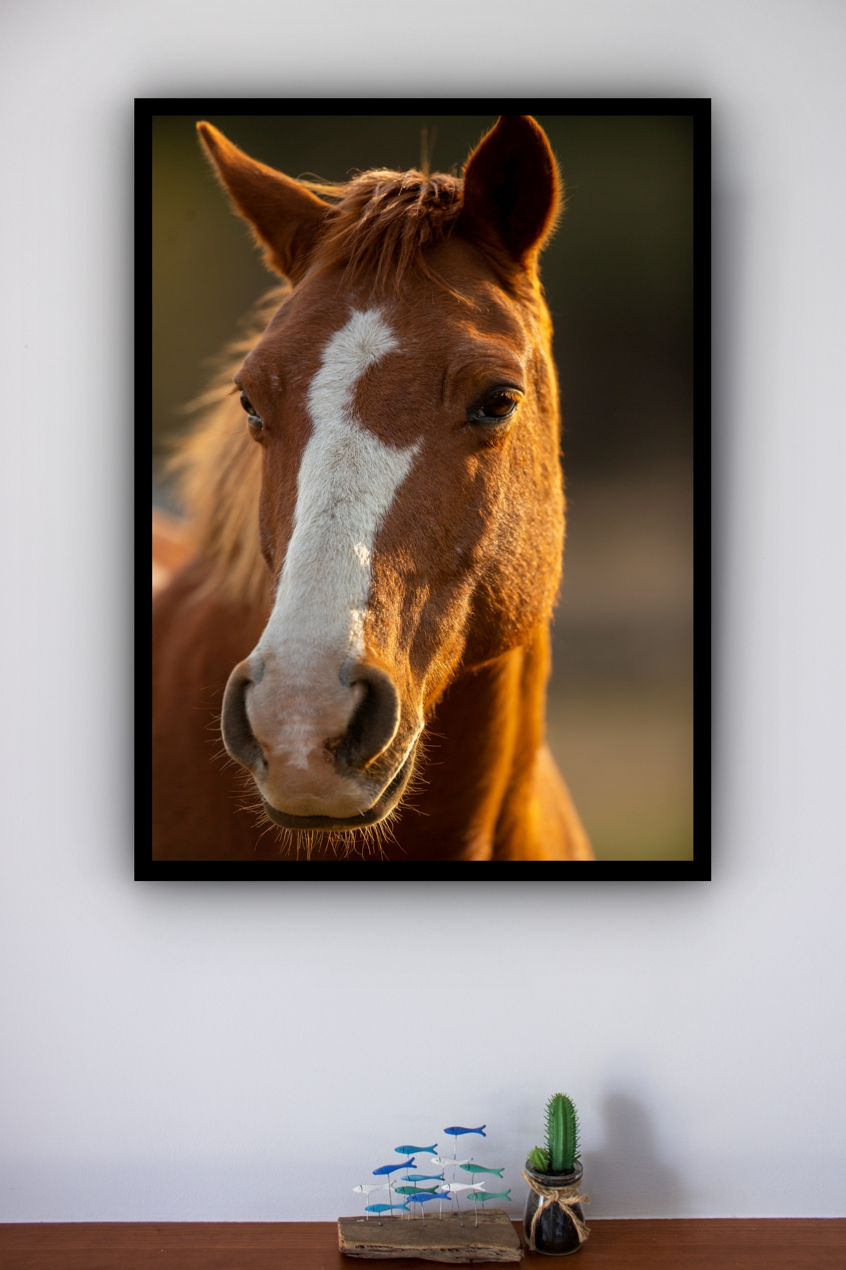 Quadro Decorativo Foto Cavalo Marrom e Branco - 70x50 cm