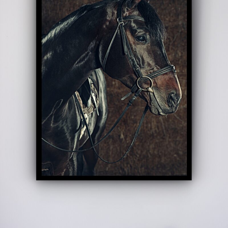 Quadro Decorativo Foto Cavalo Vintage - 70x50 cm