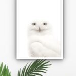 Quadro Decorativo Foto Coruja Branca - 70x50 cm