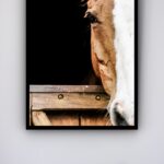 Quadro Decorativo Foto Face Cavalo Marrom - 70x50 cm