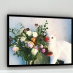 Quadro Decorativo Foto Gata Atras Vaso Flores - 50x70 cm