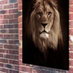 Quadro Decorativo Foto Leão Fundo Preto - 70x50 cm