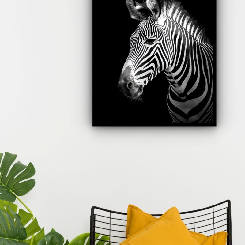 Quadro Decorativo Foto Zebra - 70x50 cm
