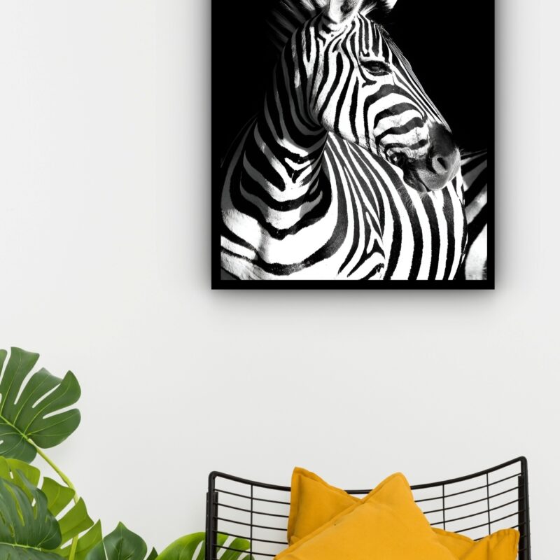 Quadro Decorativo Foto Zebra Perfil - 70x50 cm