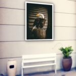 Quadro Decorativo Fotografia Águia Tronco - 70x50 cm