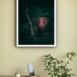 Quadro Decorativo Fotografia Elefante Floresta - 70x50 cm