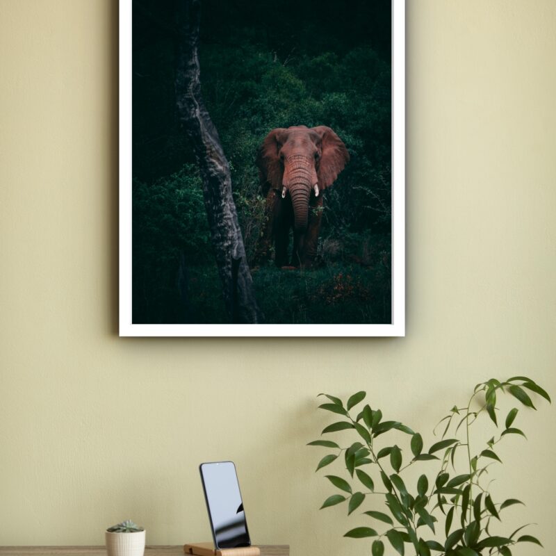Quadro Decorativo Fotografia Elefante Floresta - 70x50 cm