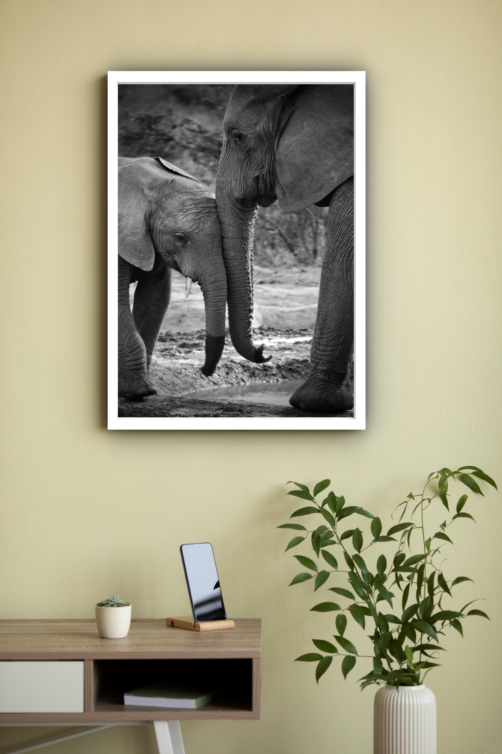 Quadro Decorativo Fotografia Mãe e Bebê Elefante - 70x50 cm
