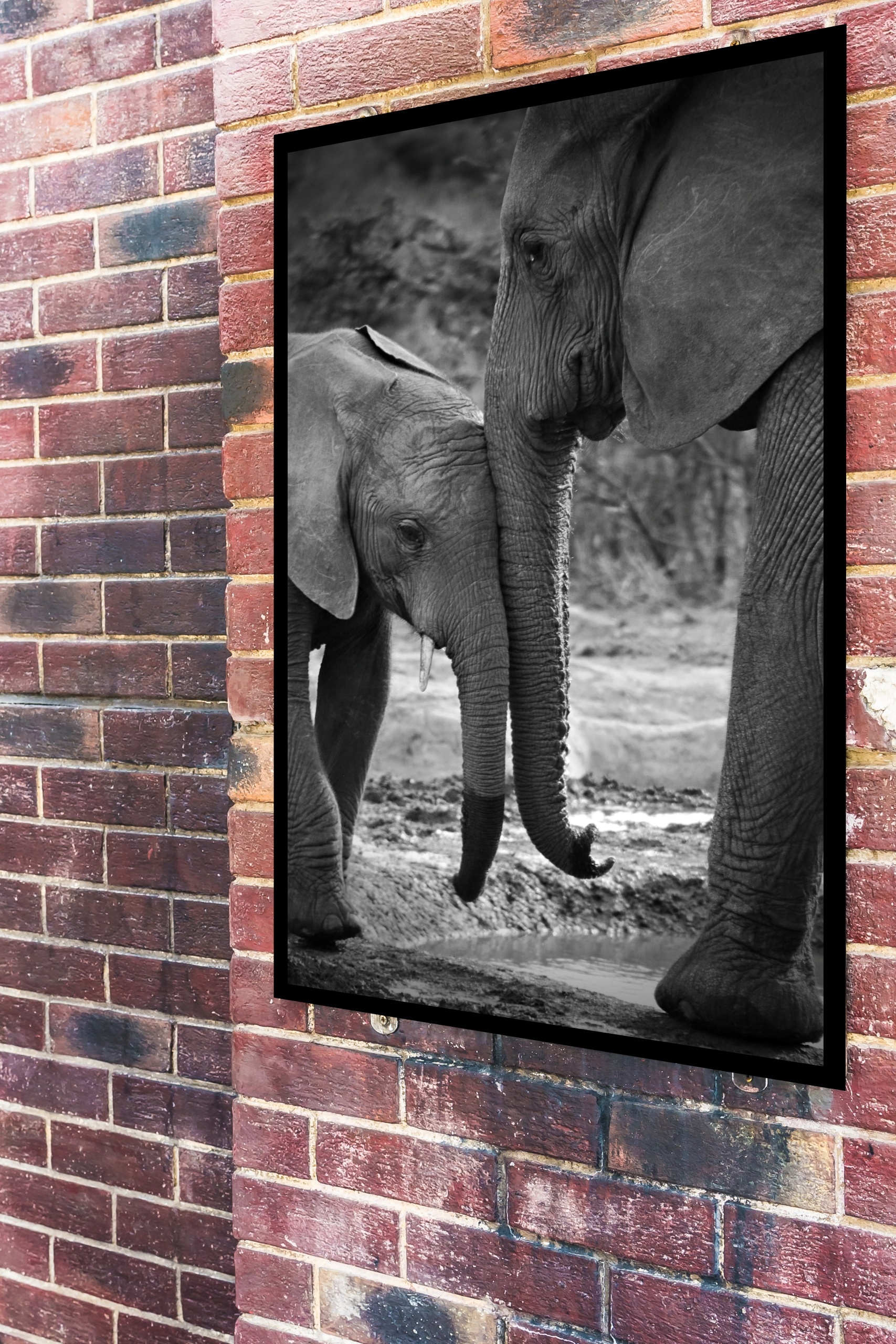 Quadro Decorativo Fotografia Mãe e Bebê Elefante - 70x50 cm