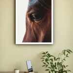 Quadro Decorativo Fotografia Olho Cavalo - 70x50 cm
