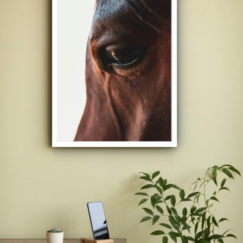 Quadro Decorativo Fotografia Olho Cavalo - 70x50 cm