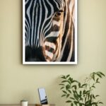 Quadro Decorativo Fotografia Olho Zebra - 70x50 cm
