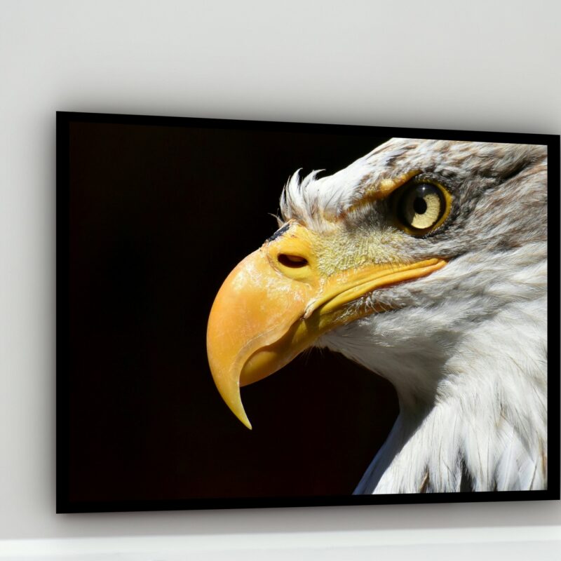 Quadro Decorativo Fotografia Perfil Águia - 50x70 cm