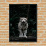 Quadro Decorativo Fotografia Tigre Branco - 70x50 cm