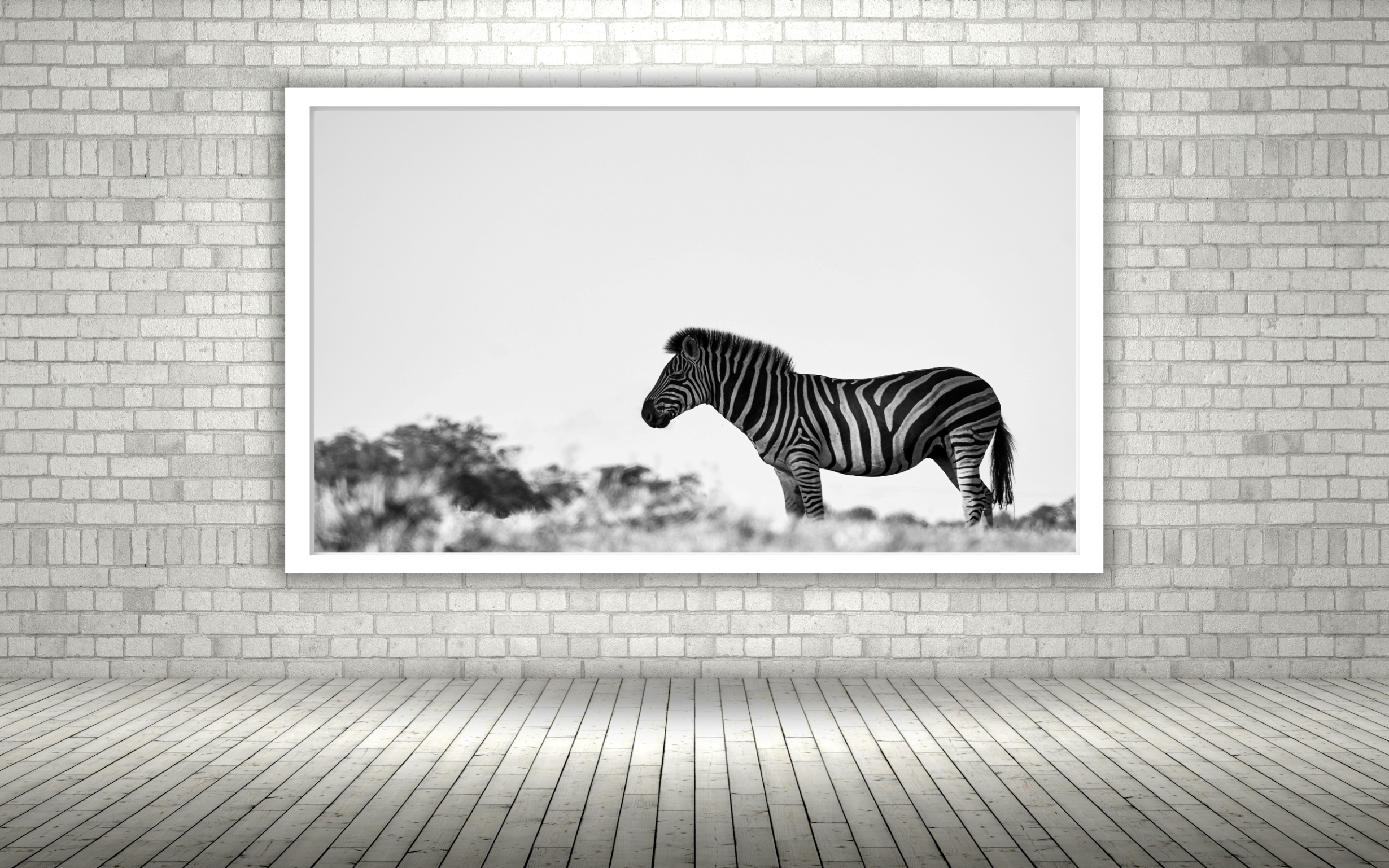 Quadro Decorativo Fotografia Zebra Branco e Preto - 50x70cm