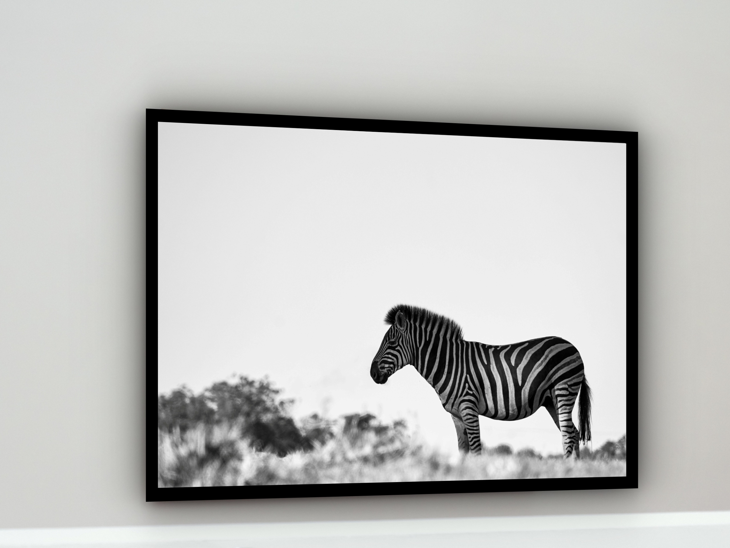 Quadro Decorativo Fotografia Zebra Branco e Preto - 50x70cm