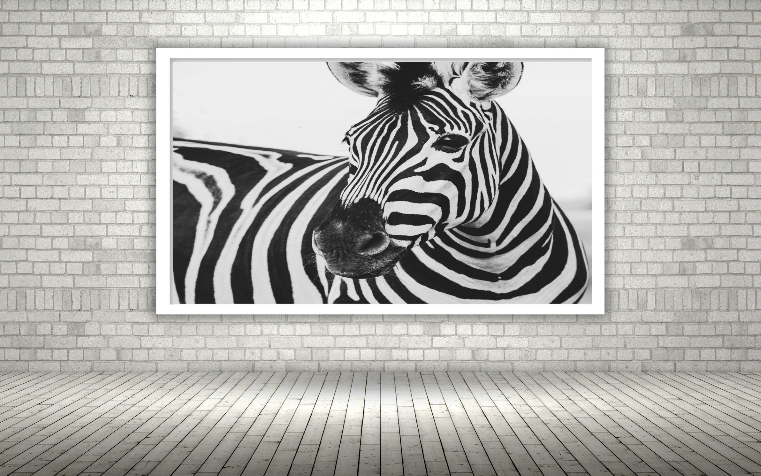 Quadro Decorativo Fotografia Zebra Preto e Branco - 50x70cm