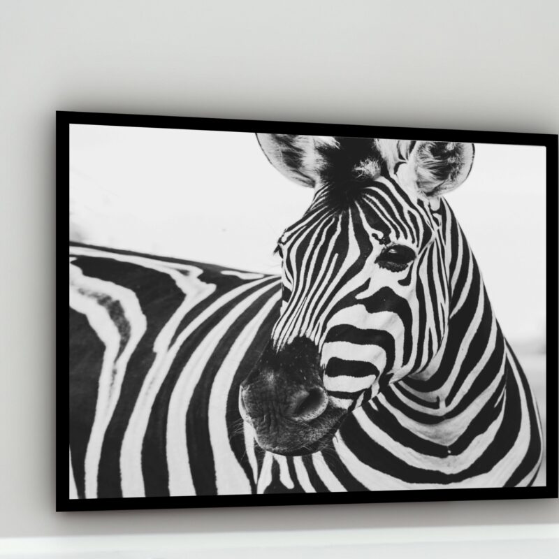 Quadro Decorativo Fotografia Zebra Preto e Branco - 50x70cm