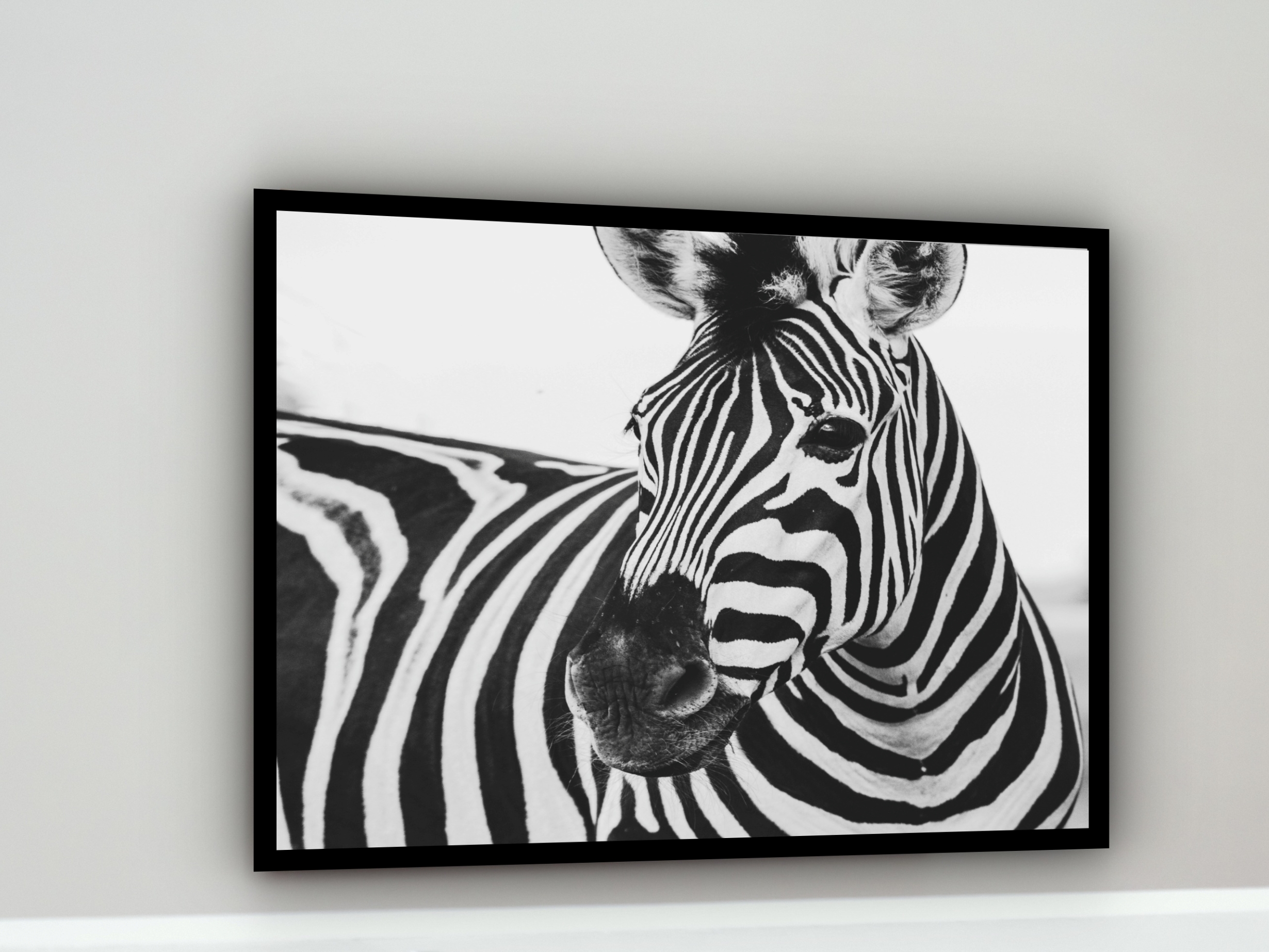 Quadro Decorativo Fotografia Zebra Preto e Branco - 50x70cm