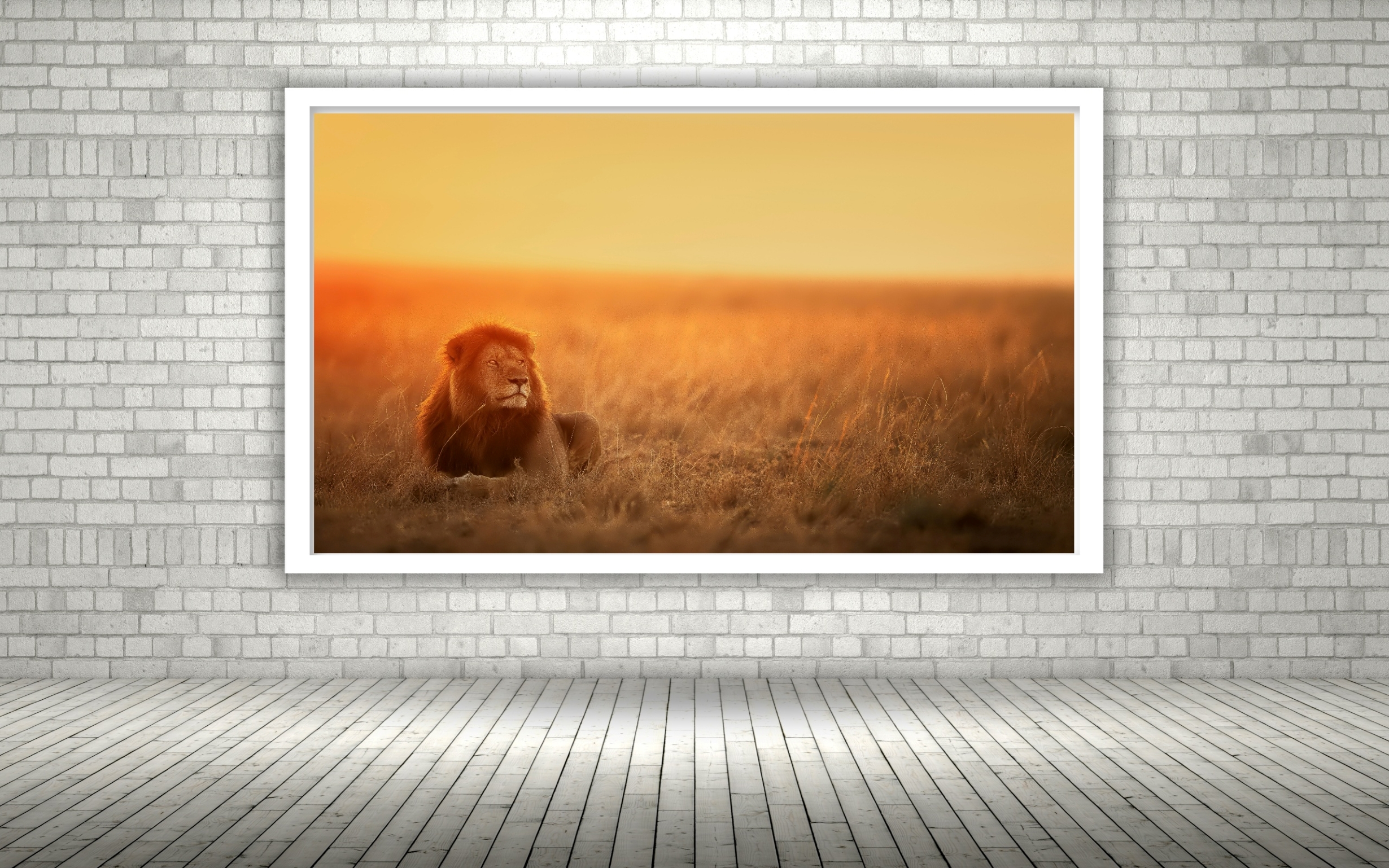 Quadro Decorativo Leão Savana - 50x70 cm