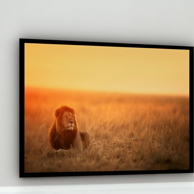 Quadro Decorativo Leão Savana - 50x70 cm