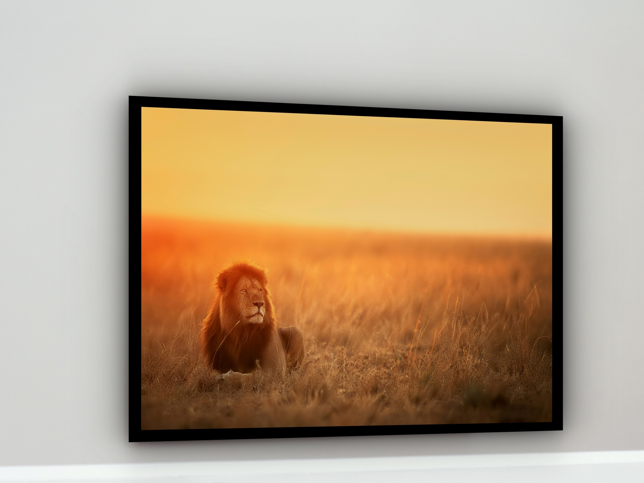 Quadro Decorativo Leão Savana - 50x70 cm