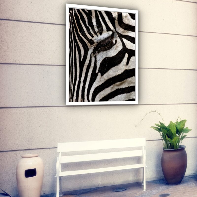 Quadro Decorativo Olho Zebra Fechado - 70x50 cm