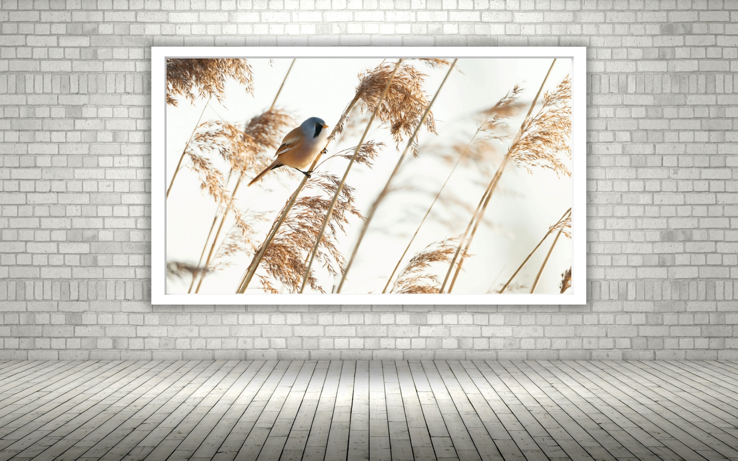 Quadro Decorativo Passarinho Ramo Bege - 50x70 cm