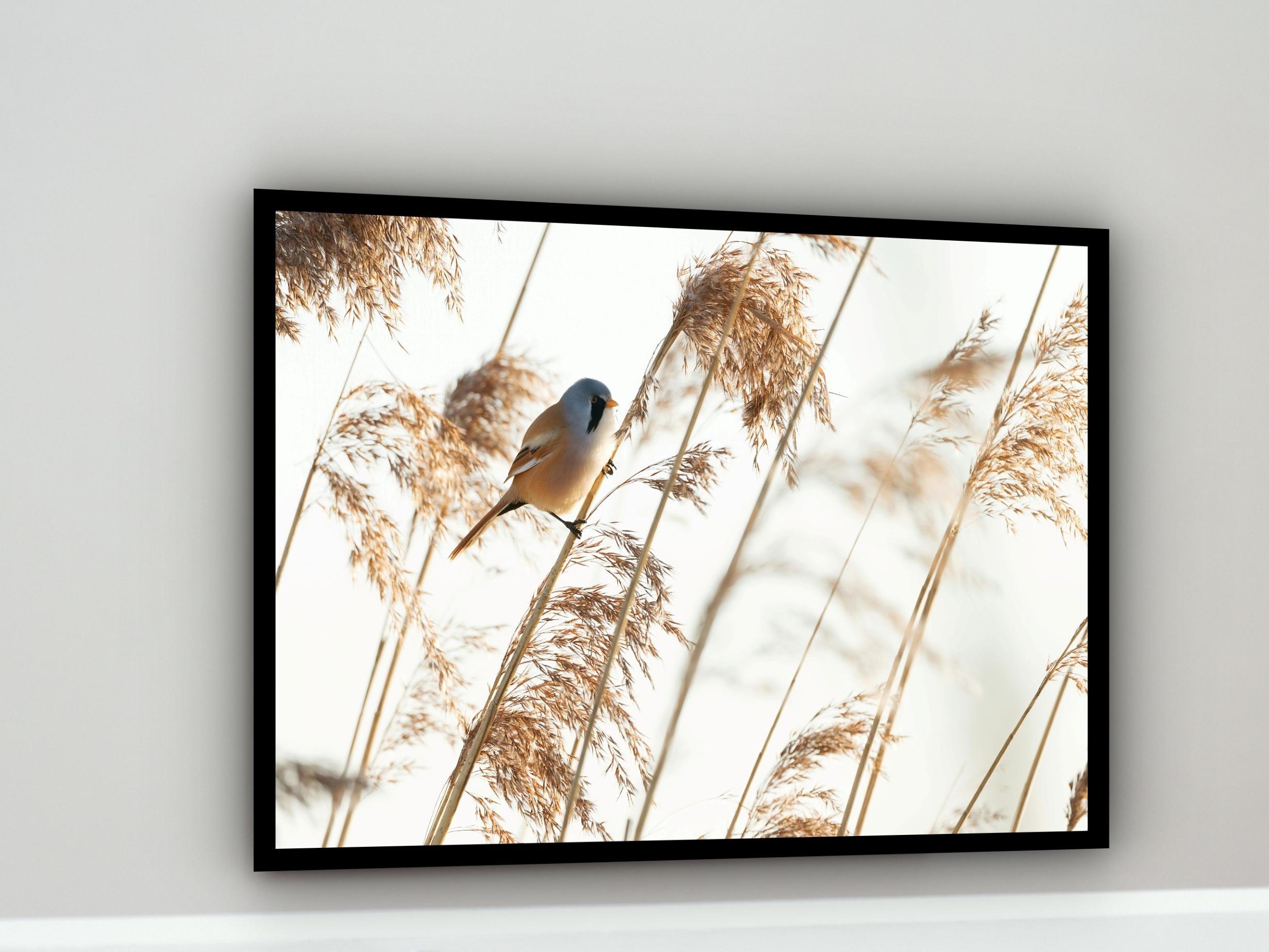 Quadro Decorativo Passarinho Ramo Bege - 50x70 cm