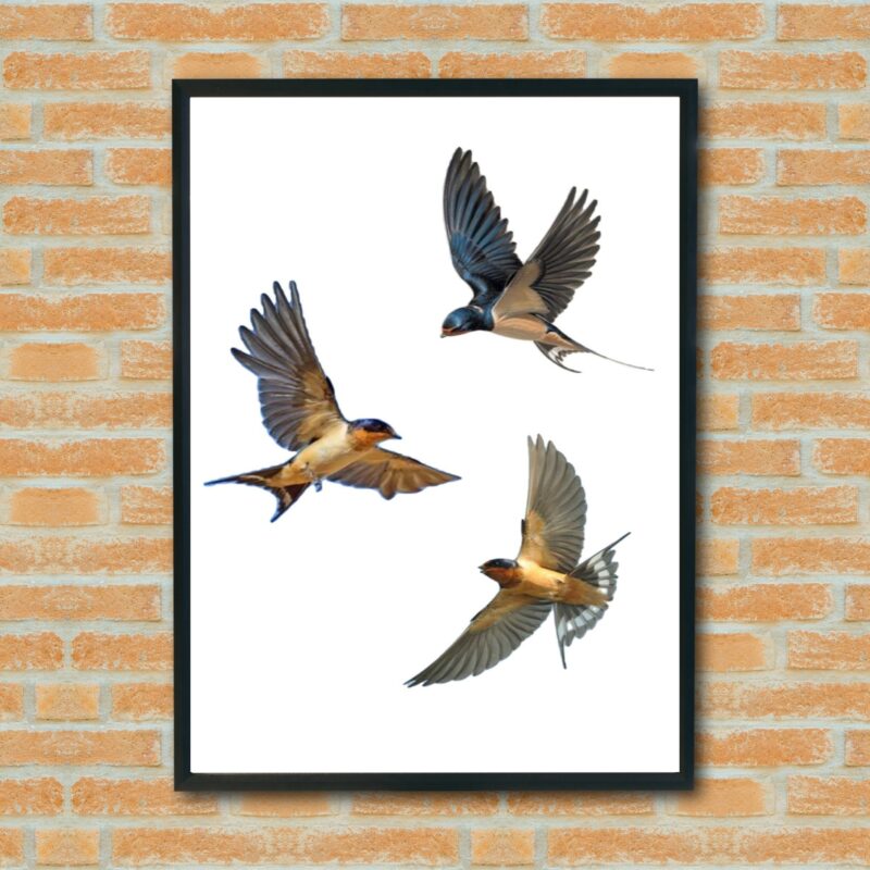 Quadro Decorativo Pássaros Voando - 70x50 cm