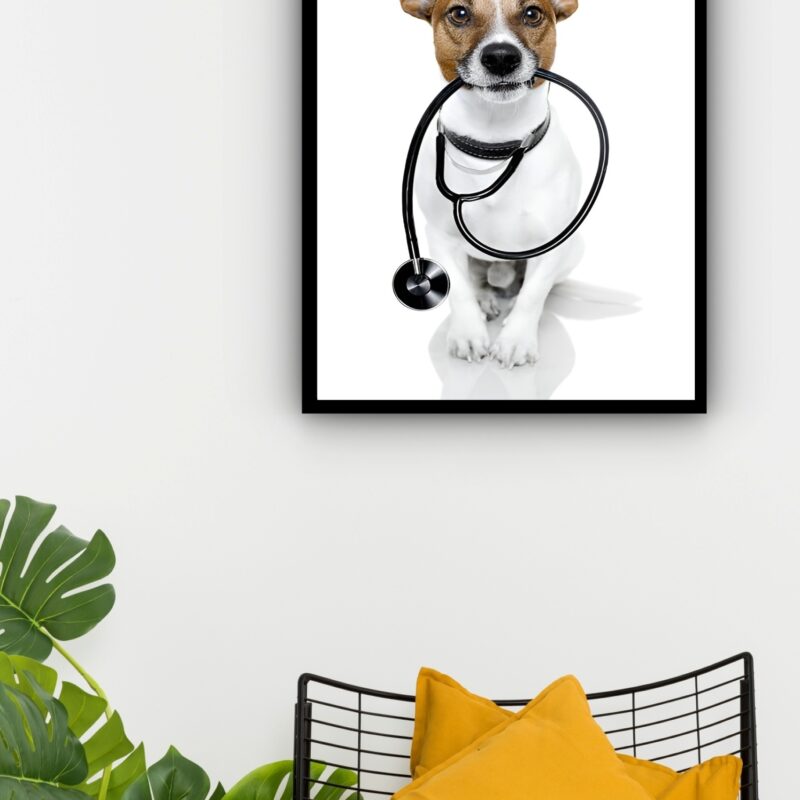 Quadro Decorativo Veterinária Cão Doutor - 70x50 cm