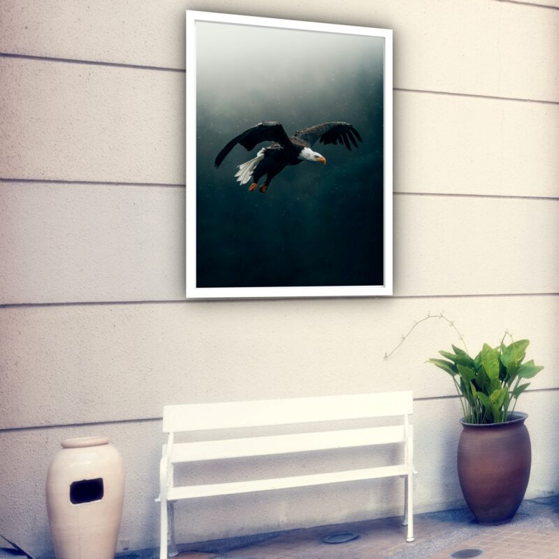 Quadro Decorativo Voo Águia - 70x50 cm