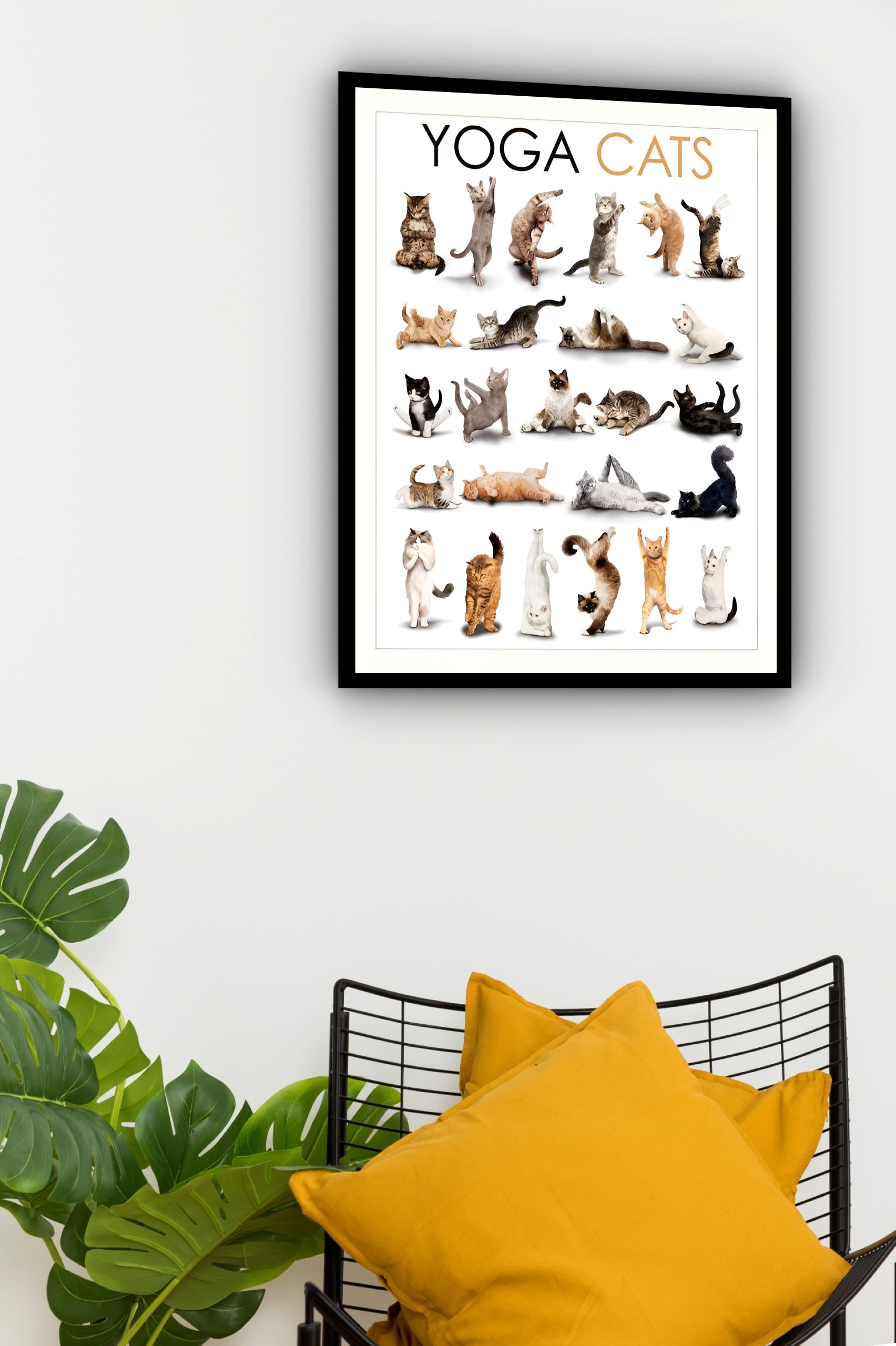 Quadro Decorativo Yoga Gatos - 70x50 cm