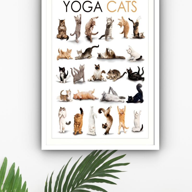 Quadro Decorativo Yoga Gatos - 70x50 cm