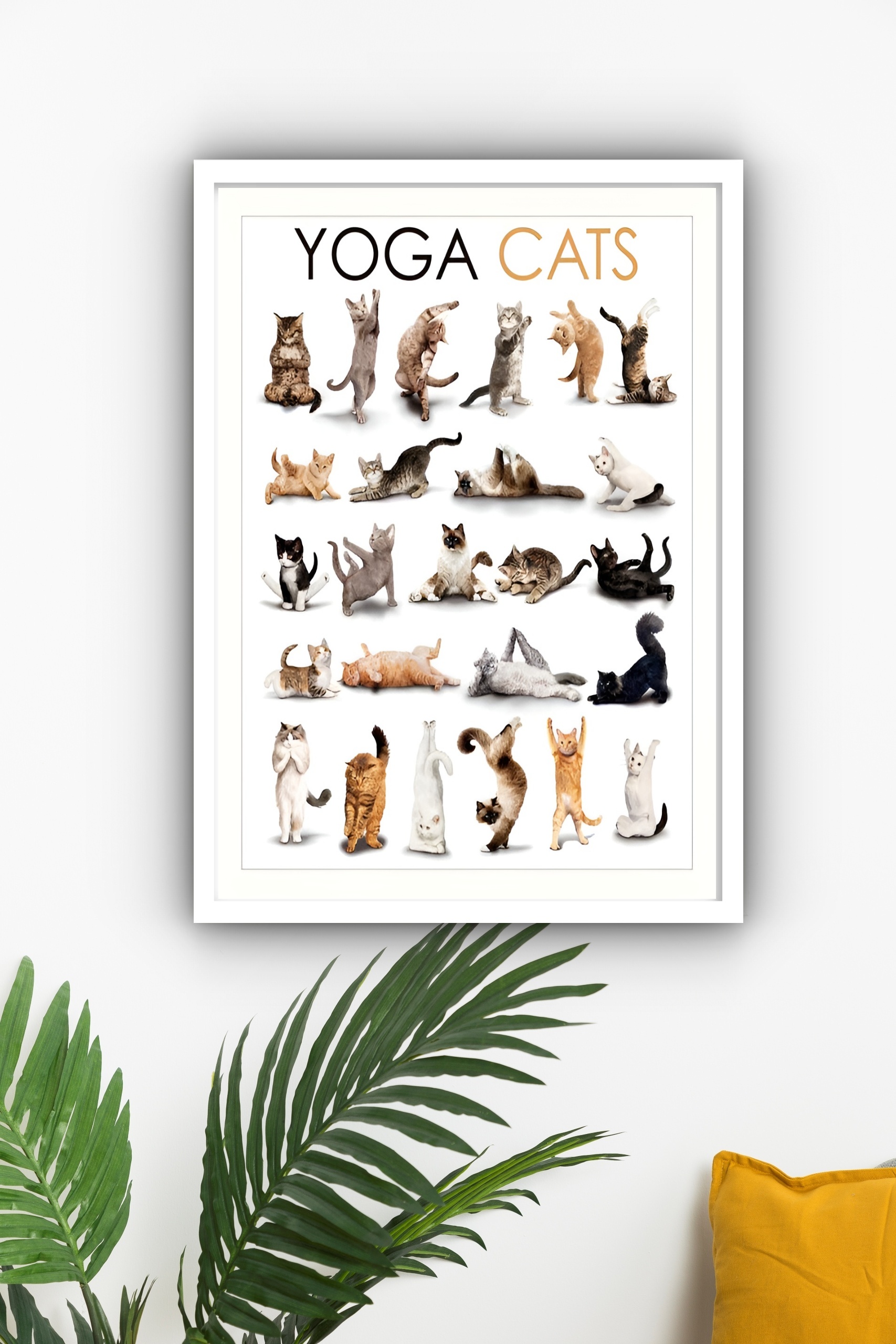 Quadro Decorativo Yoga Gatos - 70x50 cm