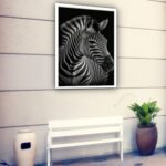 Quadro Decorativo Zebra Foto P&B - 70x50 cm