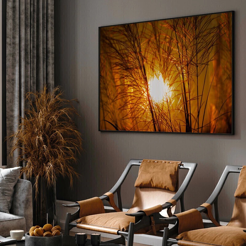 Quadro Decorativo Folhagem Relva Por Do Sol - 50x70 Cm