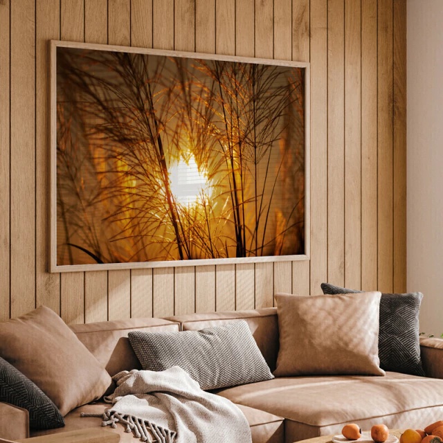 Quadro Decorativo Folhagem Relva Por Do Sol - 50x70 Cm