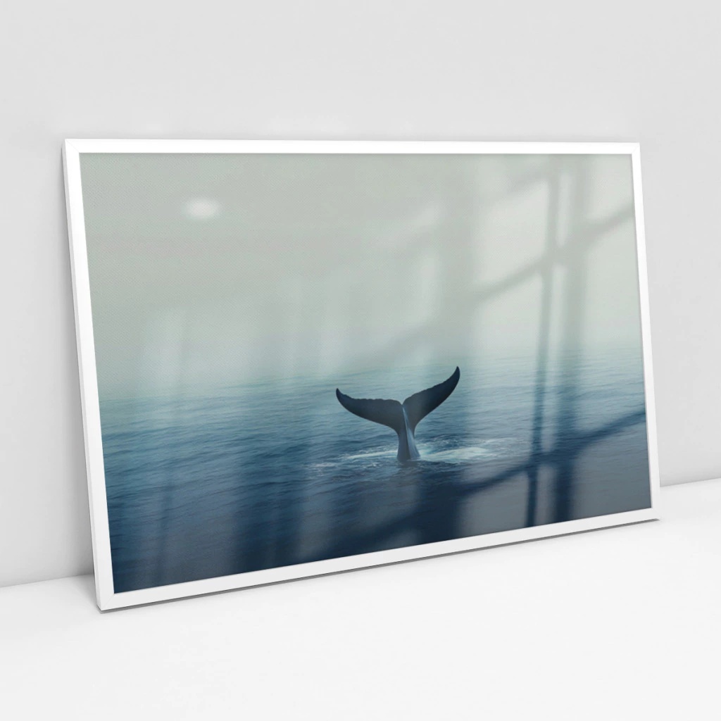 Quadro Oceano Fotografia Baleia - 50x70 Cm